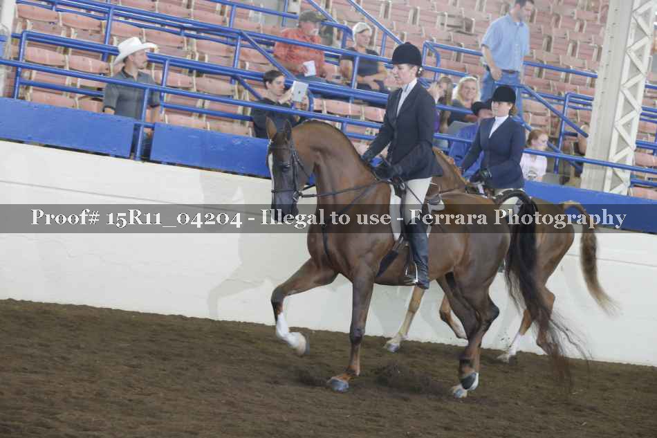 Proof 15R11_04204