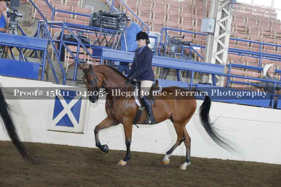 Proof 15R11_04205