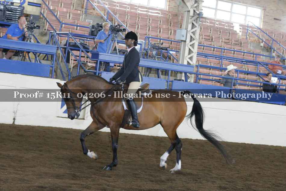 Proof 15R11_04206