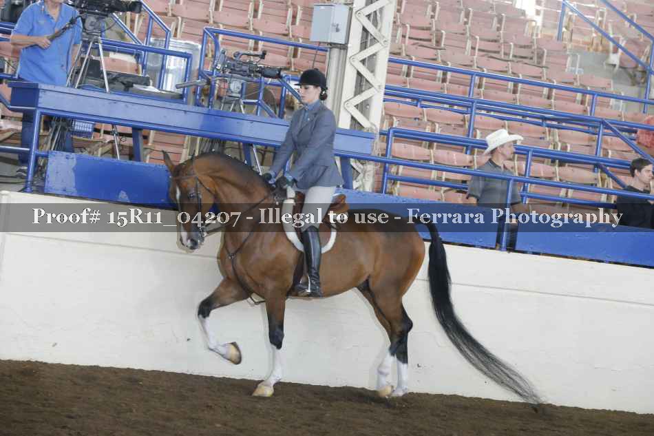 Proof 15R11_04207