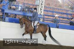 15R11_04207 proof