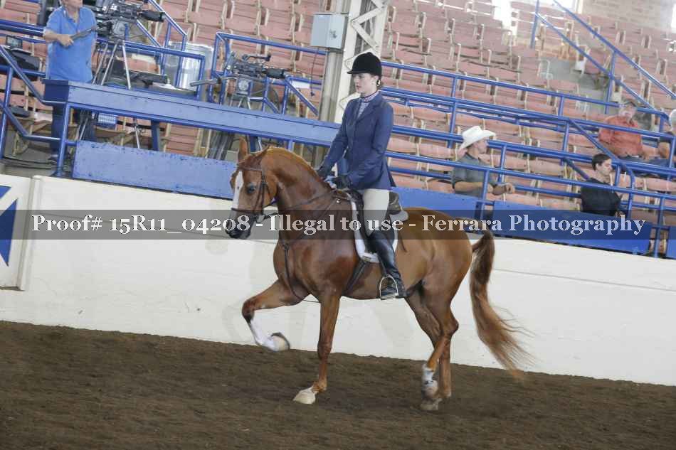 Proof 15R11_04208