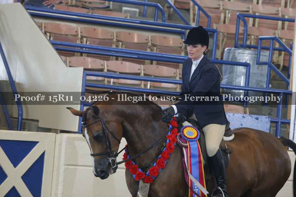 Proof 15R11_04226