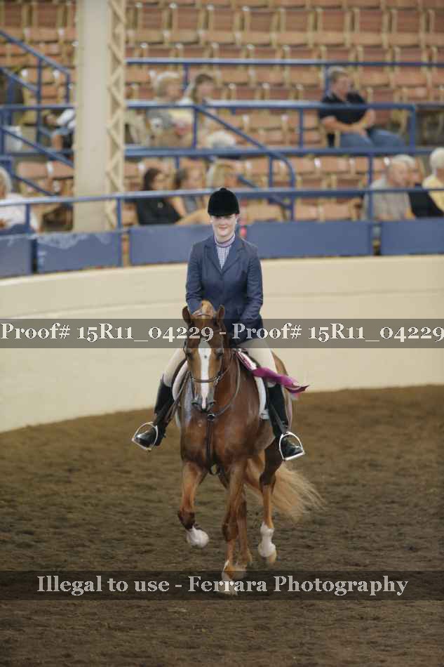 Proof 15R11_04229