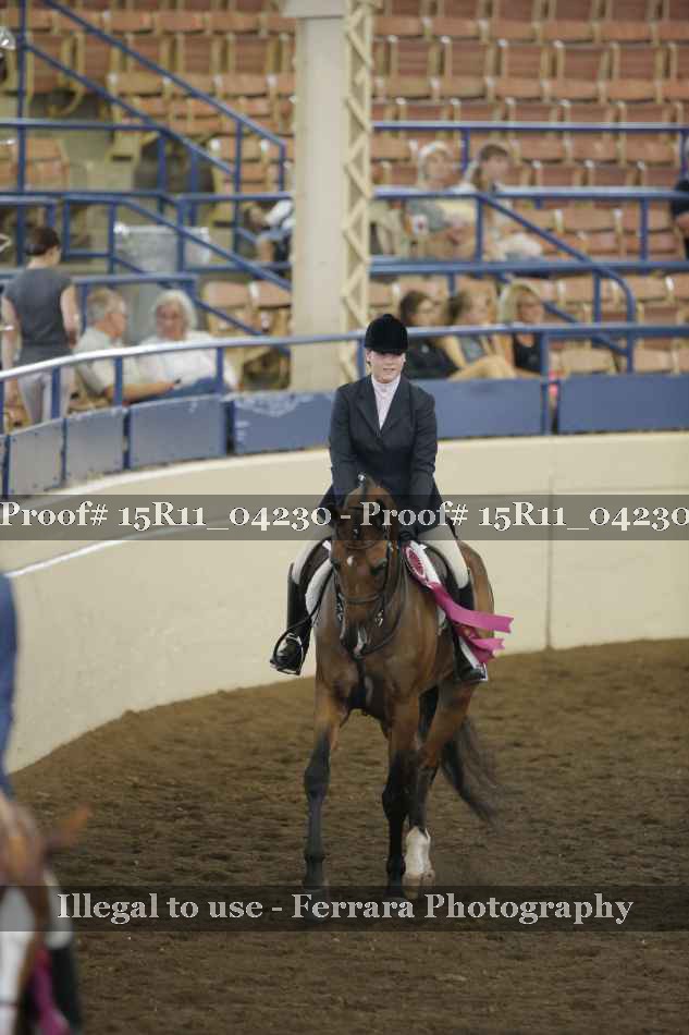 Proof 15R11_04230