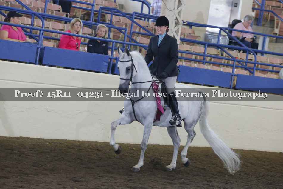 Proof 15R11_04231