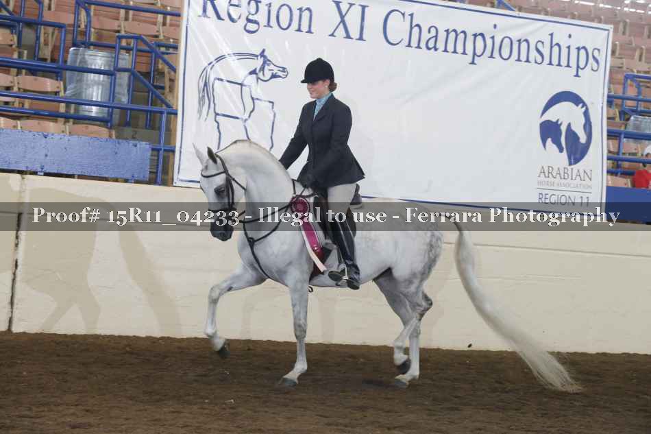 Proof 15R11_04233