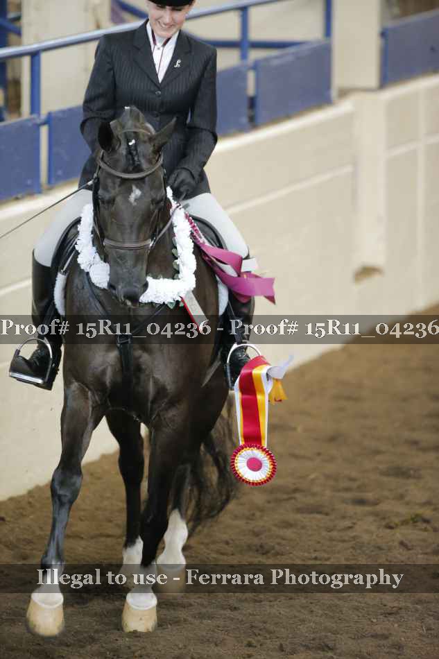 Proof 15R11_04236