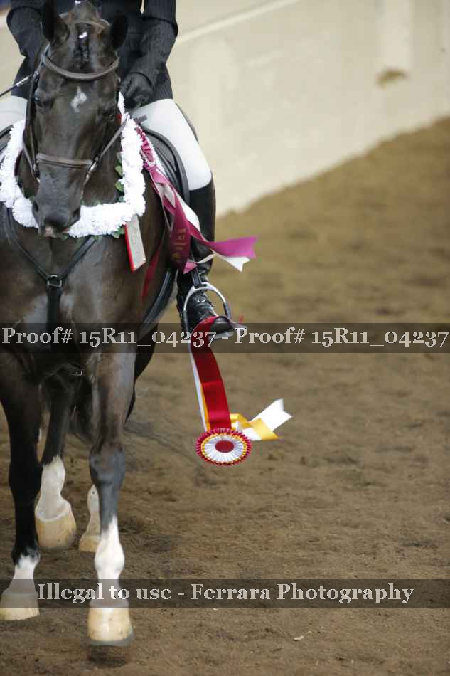 Proof 15R11_04237