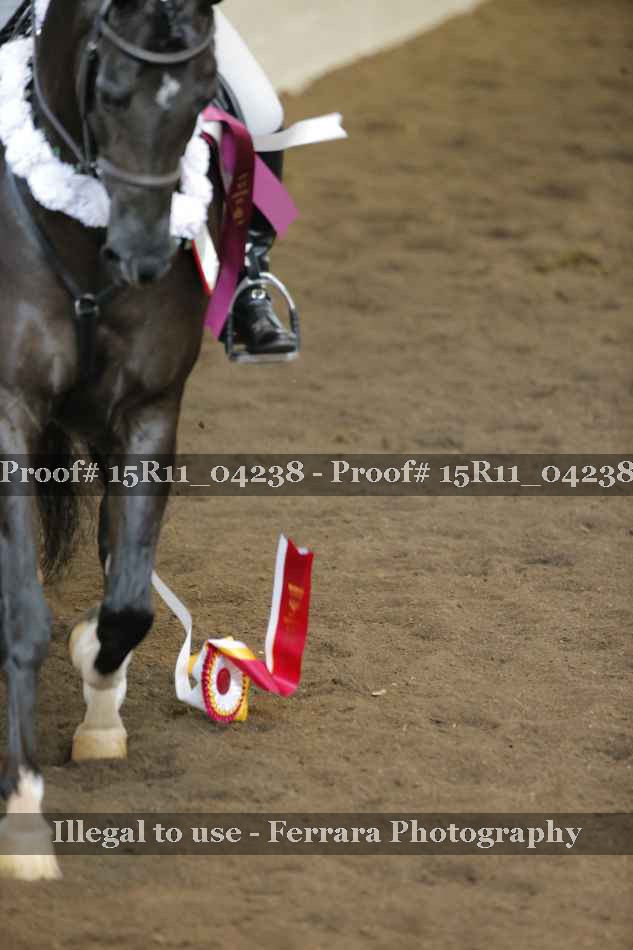 Proof 15R11_04238