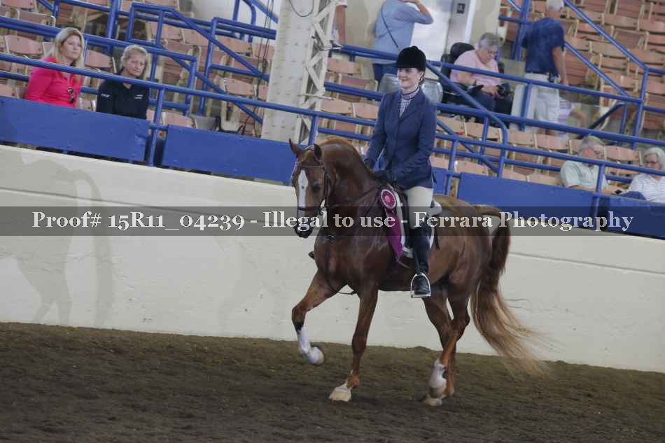 Proof 15R11_04239