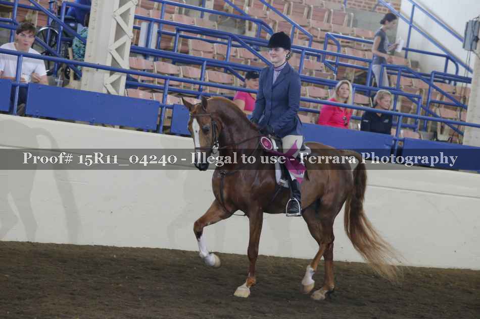 Proof 15R11_04240