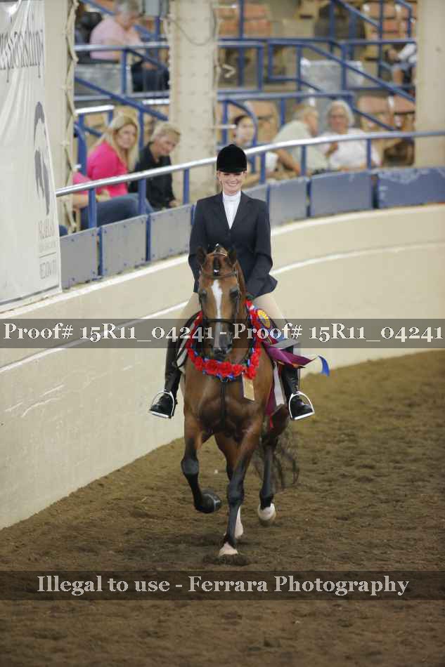 Proof 15R11_04241
