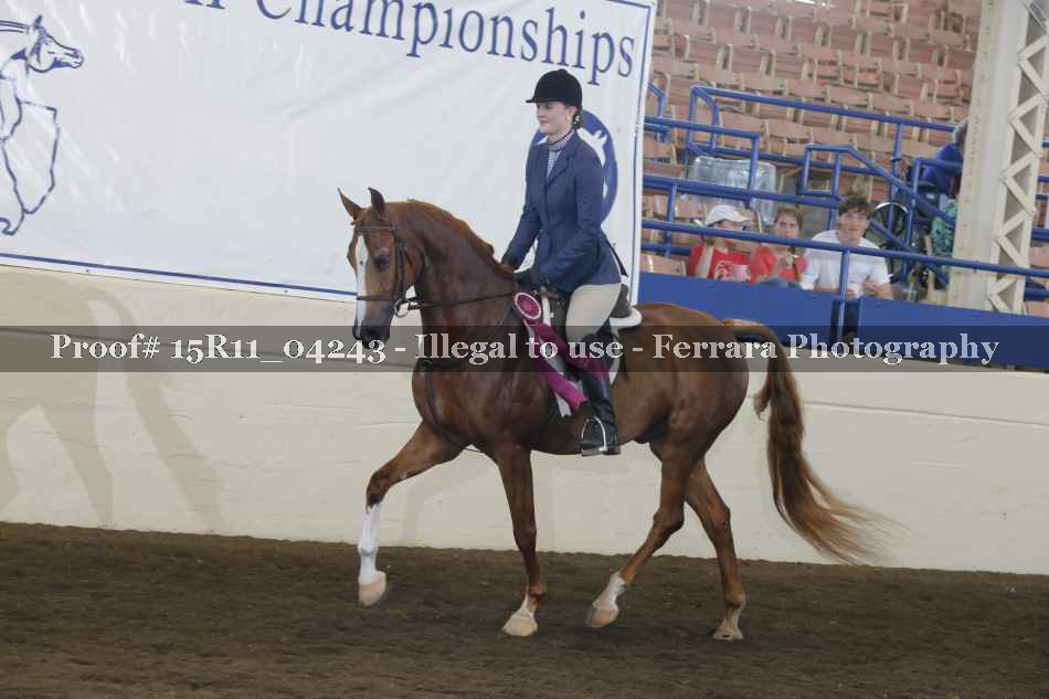 Proof 15R11_04243