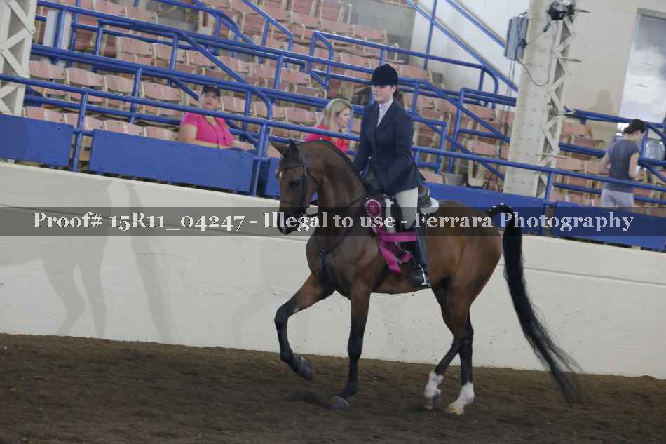 Proof 15R11_04247