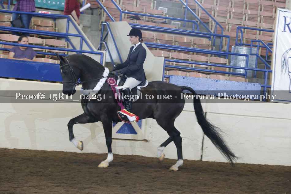 Proof 15R11_04251
