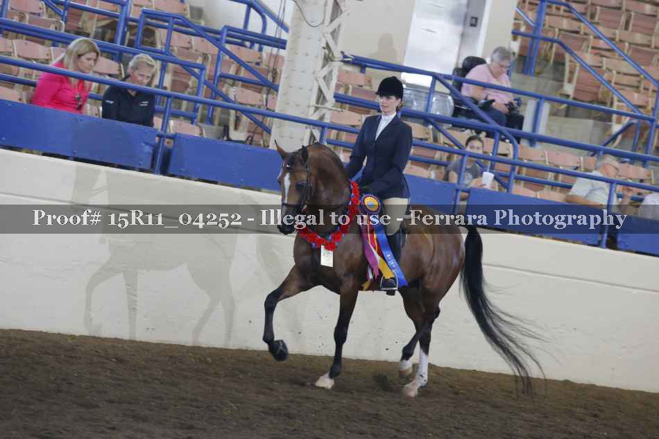 Proof 15R11_04252