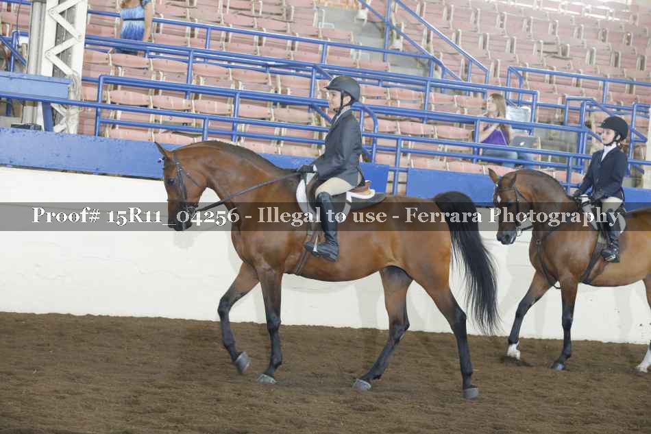 Proof 15R11_04256