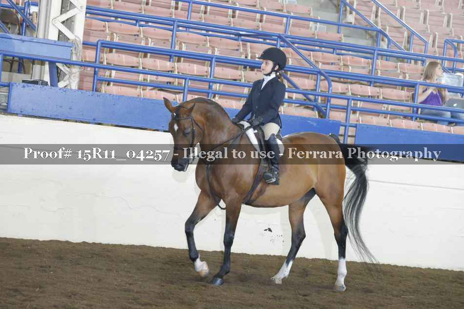 Proof 15R11_04257