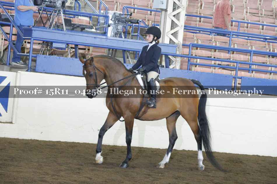Proof 15R11_04258