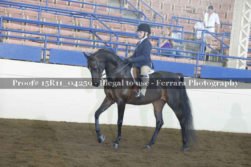 Proof 15R11_04259
