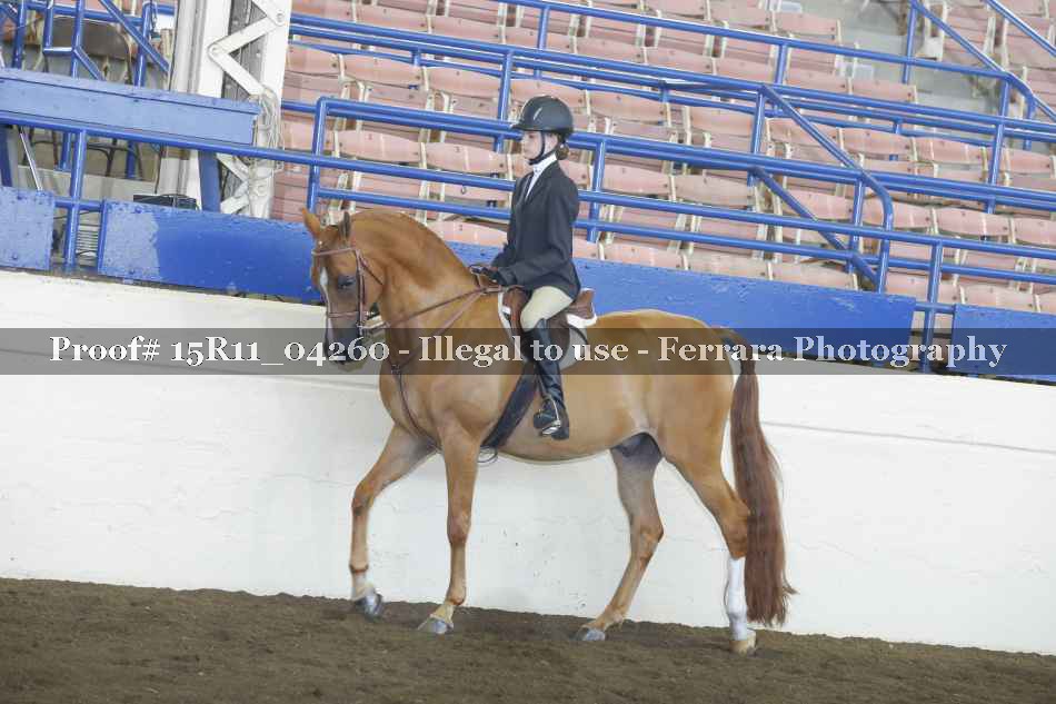 Proof 15R11_04260