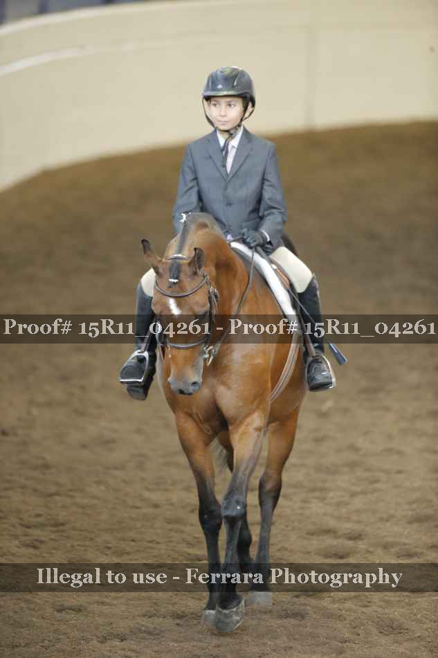 Proof 15R11_04261