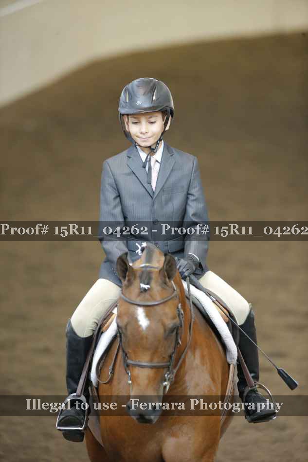 Proof 15R11_04262