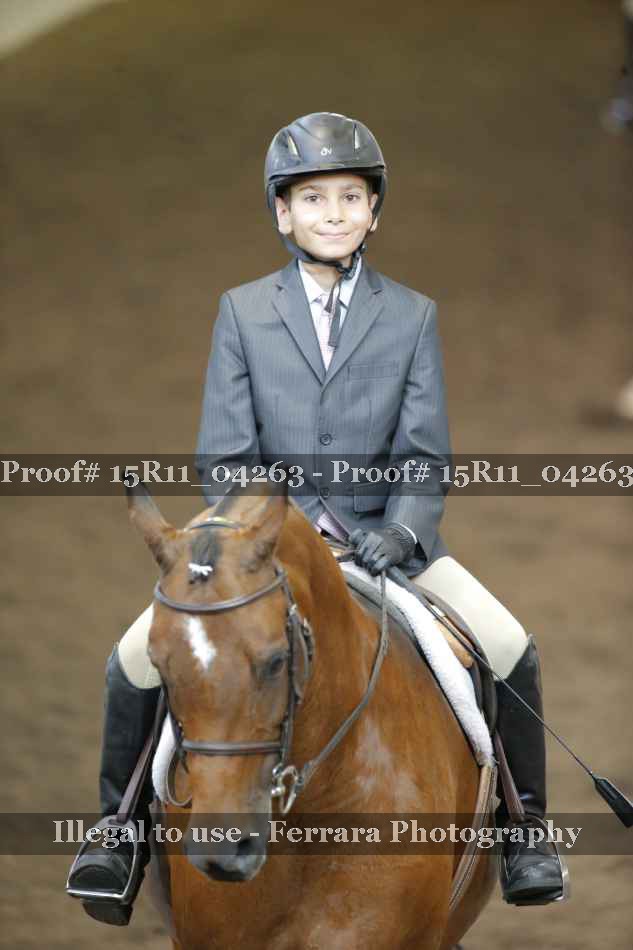 Proof 15R11_04263