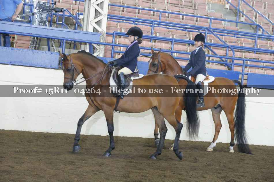 Proof 15R11_04264