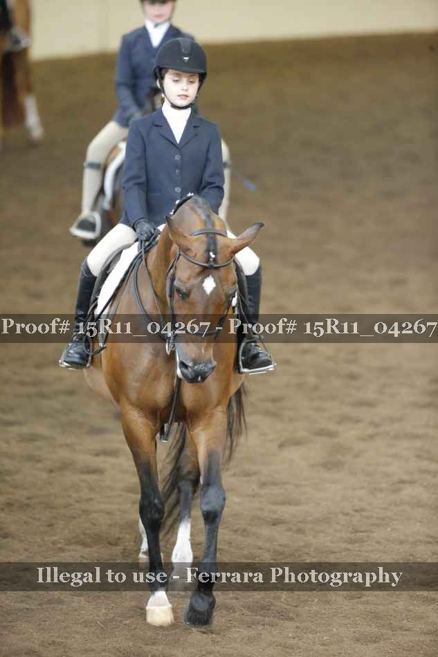 Proof 15R11_04267