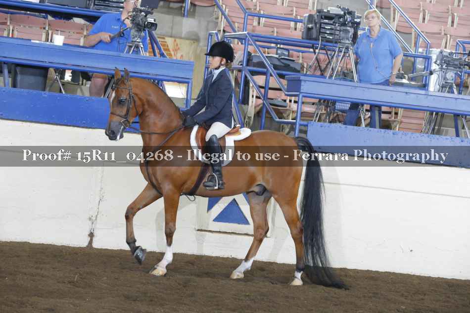Proof 15R11_04268