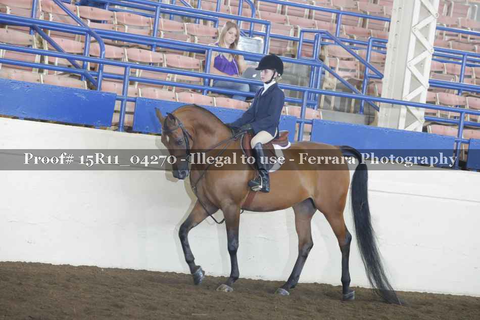 Proof 15R11_04270