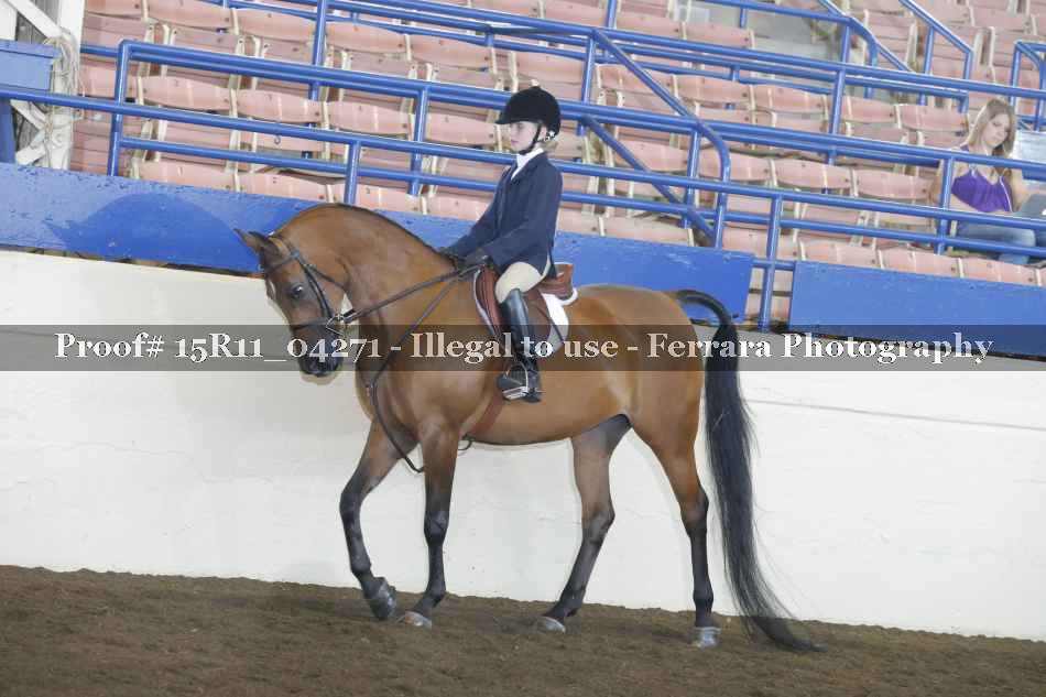 Proof 15R11_04271