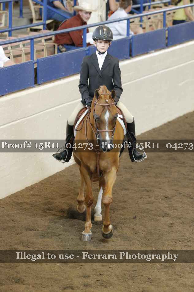 Proof 15R11_04273