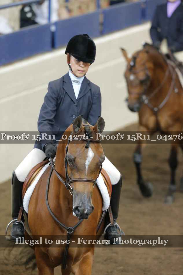 Proof 15R11_04276