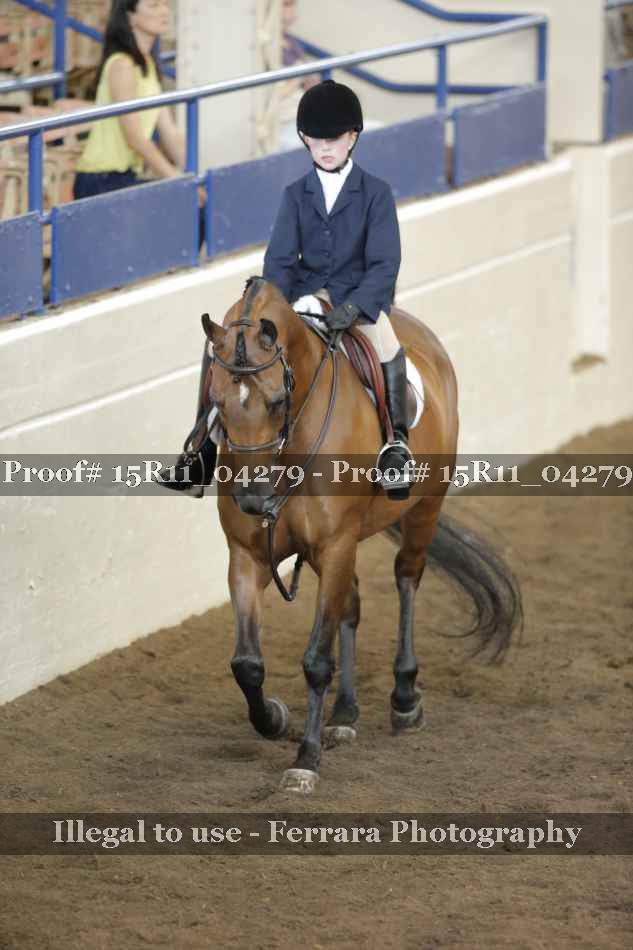 Proof 15R11_04279