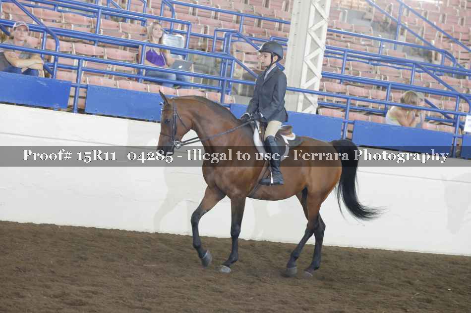 Proof 15R11_04285