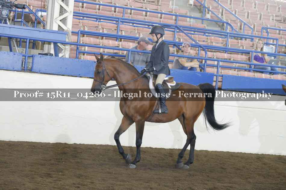 Proof 15R11_04286