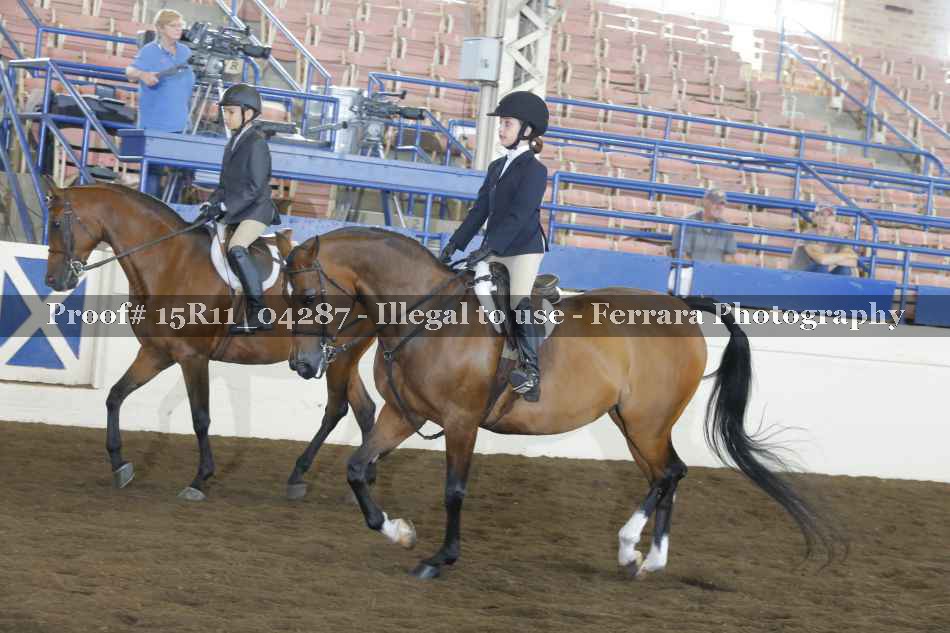 Proof 15R11_04287