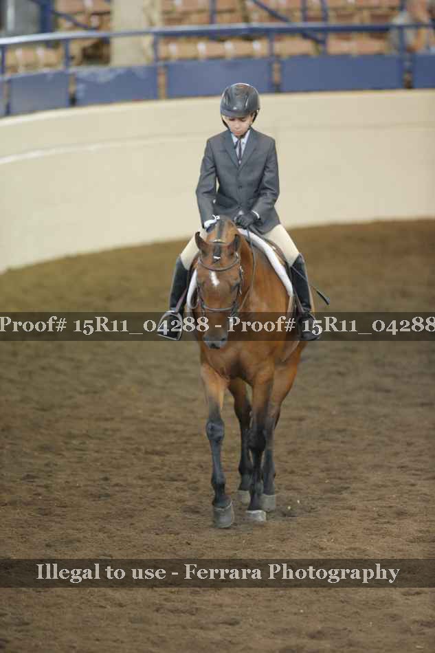 Proof 15R11_04288