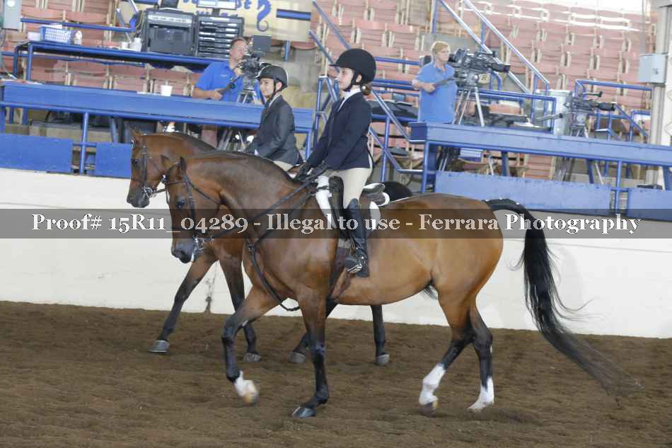 Proof 15R11_04289