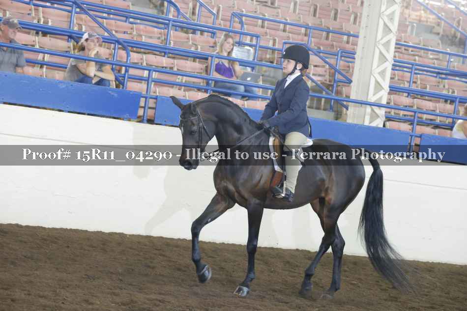 Proof 15R11_04290