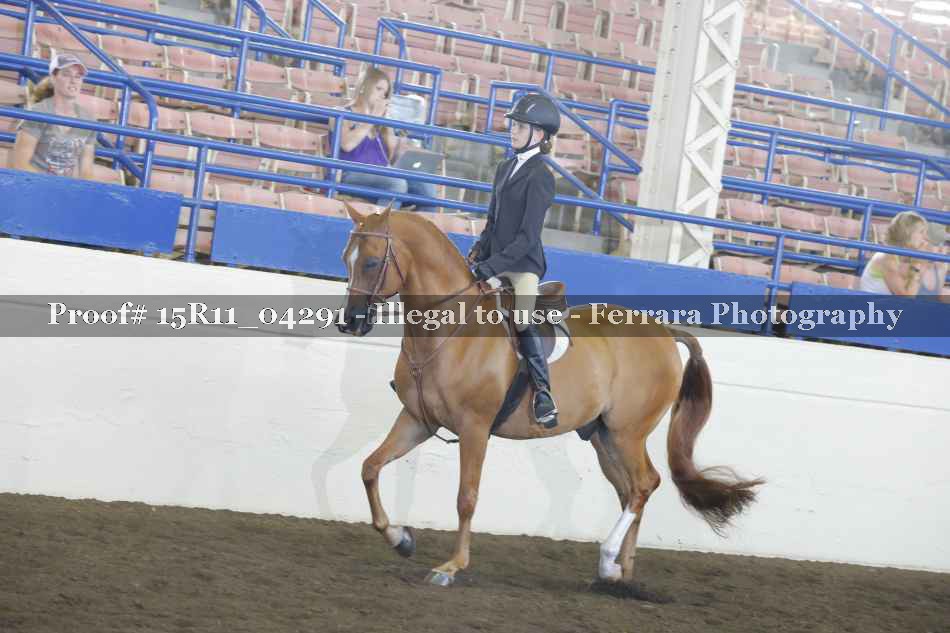 Proof 15R11_04291