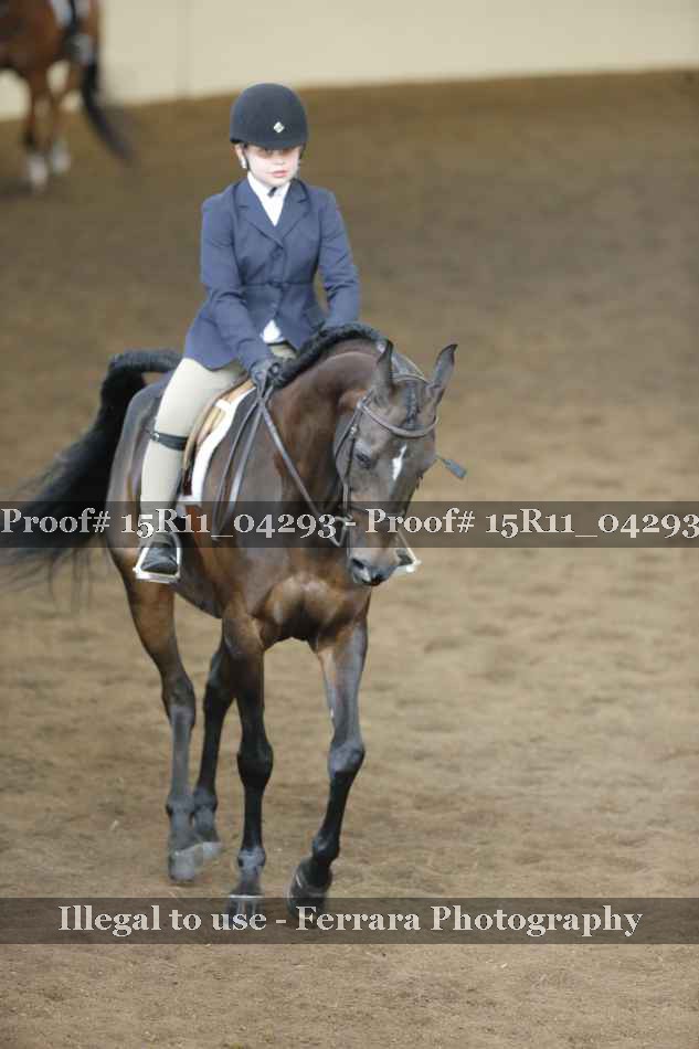 Proof 15R11_04293