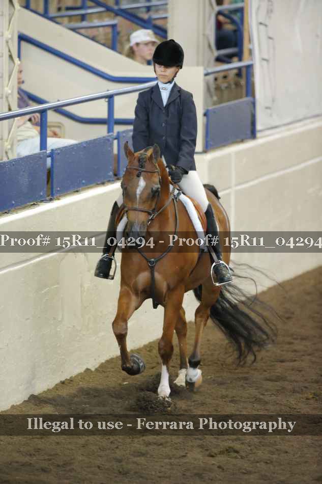 Proof 15R11_04294