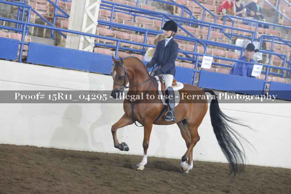 Proof 15R11_04295