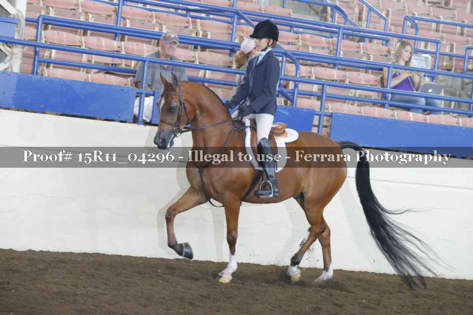 Proof 15R11_04296