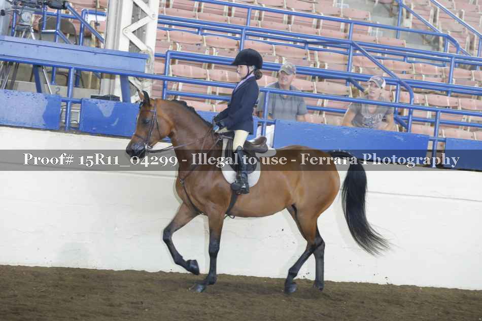 Proof 15R11_04299