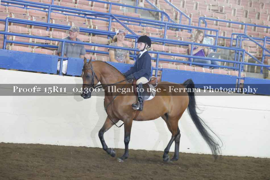 Proof 15R11_04300